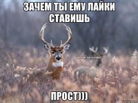 Зачем ты ему лайки ставишь Прост)))