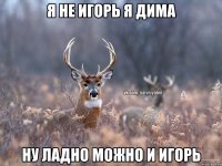 Я не Игорь я Дима Ну ладно можно и Игорь