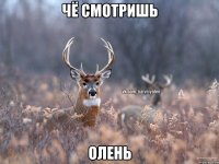 чё смотришь олень