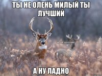 Ты не олень милый ты лучший а ну ладно