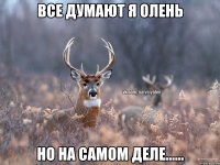 все думают я олень но на самом деле......