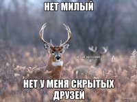 нет милый нет у меня скрытых друзей