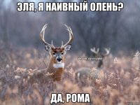 Эля, я наивный олень? да, Рома