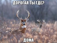 ДОРОГАЯ ТЫ ГДЕ? ДОМА