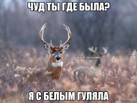 Чуд ты где была? Я с белым гуляла