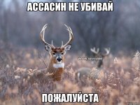 ассасин не убивай пожалуйста