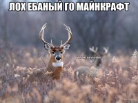 лох ебаный го майнкрафт 