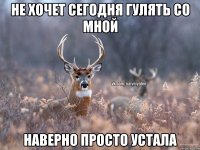 Не хочет сегодня гулять со мной Наверно просто устала