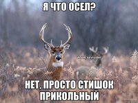 Я что осел? Нет, просто стишок прикольный