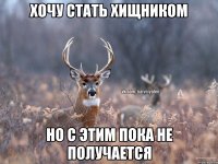 хочу стать хищником но с этим пока не получается