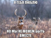 Я тебя люблю Но мы не можем быть вместе