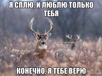 я сплю, и люблю только тебя конечно, я тебе верю