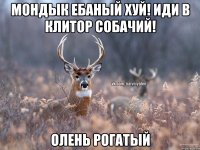 мондык ебаный хуй! иди в клитор собачий! олень рогатый