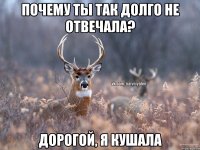 Почему ты так долго не отвечала? Дорогой, я кушала