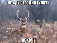 не иду сегодня гулять не хочу