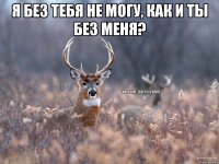 Я без тебя не могу, как и ты без меня? 