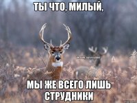 Ты что, милый, мы же всего лишь струдники