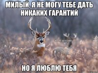 Милый, я не могу тебе дать никаких гарантий Но я люблю тебя