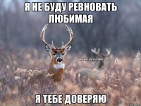 я не буду ревновать любимая я тебе доверяю