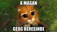 A magan geog beresinbe