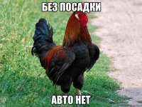 без посадки авто нет