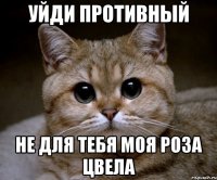 Уйди противный Не для тебя моя роза цвела