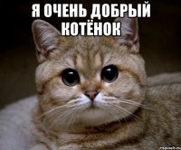 я очень добрый котёнок 