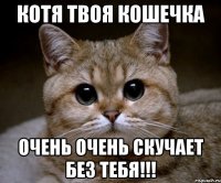 Котя твоя кошечка очень очень скучает без тебя!!!