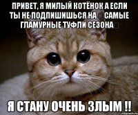 привет, я милый котёнок а если ты не подпишишься на ツСамые Гламурные Туфли Сезонаツ я Стану очень злым !!