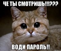 Че ты смотришь!!!??? Води пароль!!