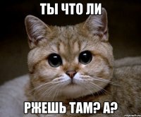 Ты что ли ржешь там? А?