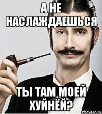 А не наслаждаешься ты там моей хуйнёй?