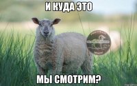 и куда это мы смотрим?