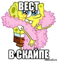 Вест В скайпе