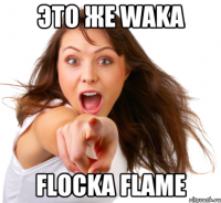 Это же Waka Flocka Flame