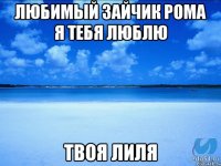 Любимый зайчик Рома я тебя люблю Твоя Лиля