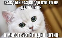 Каждый раз когда кто-то не делает ИПР В мире грустит один котик