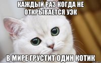 Каждый раз когда не открывается УЭК В мире грустит один котик