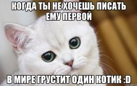 Когда ты не хочешь писать ему первой В мире грустит один котик :D