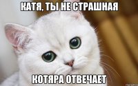 Катя, ты не страшная Котяра отвечает