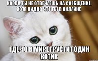 Когда ты не отвечаешь на сообщение, хотя видно что ты в онлайне где-то в мире грустит один котик