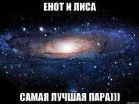 Енот и Лиса Самая лучшая пара)))