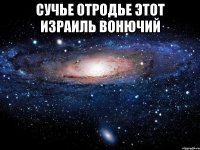 сучье отродье этот израиль вонючий 