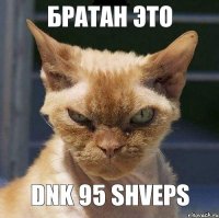 братан это DNK 95 shveps