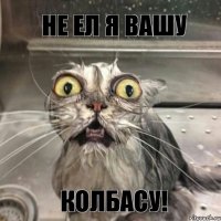 не ел я вашу колбасу!