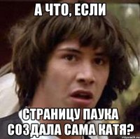 а что, если страницу паука создала сама Катя?