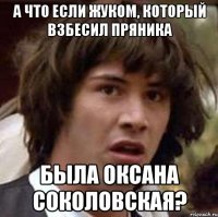 А что если жуком, который взбесил Пряника была Оксана Соколовская?