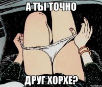 А ты точно Друг хорхе?