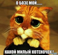 О Бозе мой....... Какой милый котеночек !