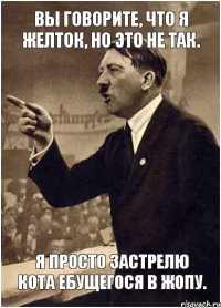 Вы говорите, что я желток, но это не так. Я просто застрелю кота ебущегося в жопу.